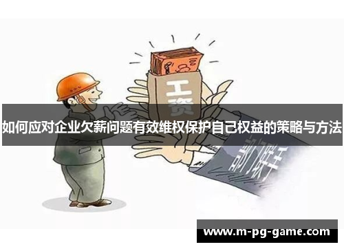 如何应对企业欠薪问题有效维权保护自己权益的策略与方法