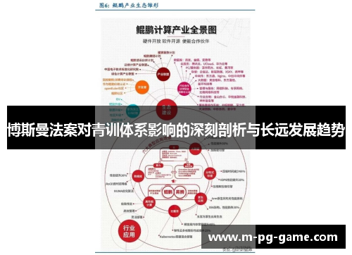 博斯曼法案对青训体系影响的深刻剖析与长远发展趋势