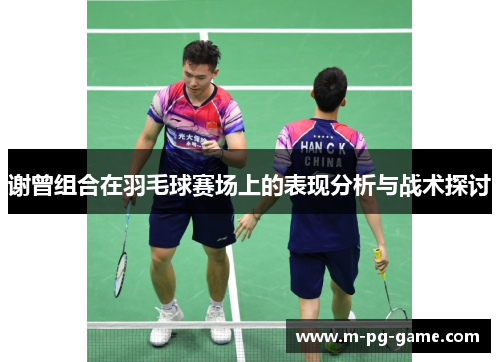 谢曾组合在羽毛球赛场上的表现分析与战术探讨
