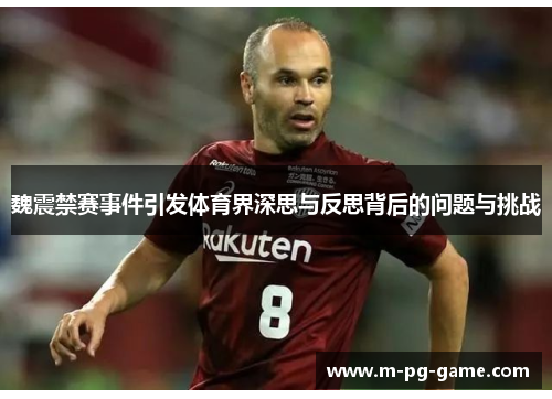 魏震禁赛事件引发体育界深思与反思背后的问题与挑战