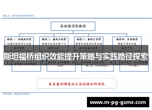斯坦福桥组织效能提升策略与实践路径探索 斯坦福桥组织效能提升策略与实践路径探索
