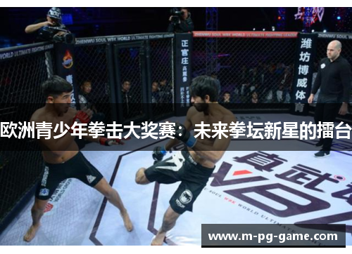 欧洲青少年拳击大奖赛：未来拳坛新星的擂台