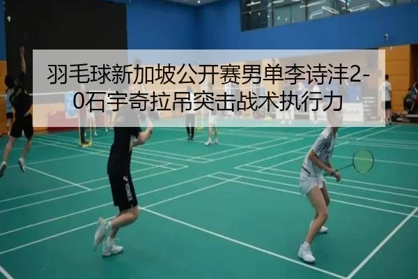 yu-mao-qiu-xin-jia-po-gong-kai-sai-nan-dan-li-shi-feng-shi-yu-qi-la-diao-tu-ji-zhan-shu-zhi-xing-li-2-639.jpg
