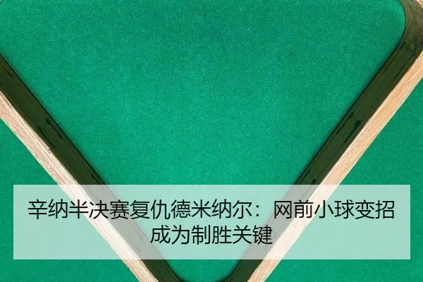辛纳半决赛复仇德米纳尔：网前小球变招成为制胜关键
