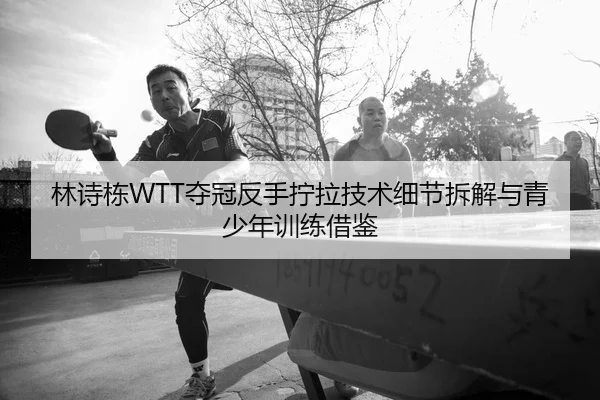 林诗栋WTT夺冠反手拧拉技术细节拆解与青少年训练借鉴